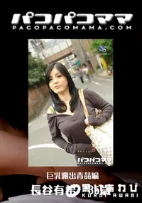 【パコパコママ 733 巨乳露出青姦編 】の一覧画像