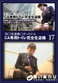 【羽○空港第○ターミナルCA専用トイレ完全生盗撮 17 】の一覧画像