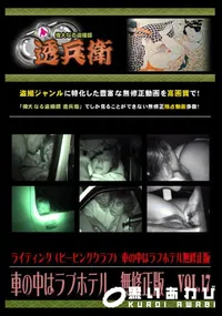 【車の中はラブホテル　無修正版　 Vol.17 】の一覧画像