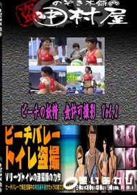 【ビーチの妖精　無許可撮影Vol.2 　】の一覧画像