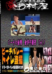 【ビーチの妖精　無許可撮影vol.3 　】の一覧画像