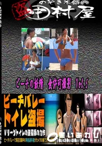 【ビーチの妖精　無許可撮影vol.5 　】の一覧画像