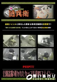 【公園盗撮!覗かれたカップル達byステイシー 】の一覧画像