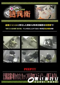【公園盗撮!覗かれたカップル達byステイシー 】の一覧画像