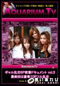 【ギャル乱交6P密着ドキュメント vol.3　最終回は豪華10Pフル乱交　】の一覧画像