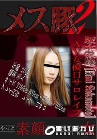 【AV女優日サロレイプ 】の一覧画像