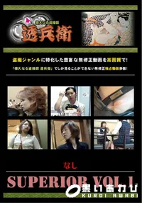 【SUPERIOR VOL.1 】の一覧画像