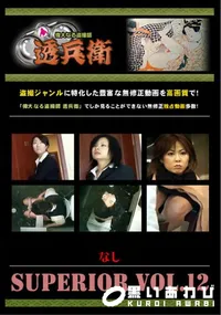 【SUPERIOR VOL.12 】の一覧画像