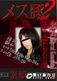 【オナニー盗撮犯に犯された自慰女 】の一覧画像