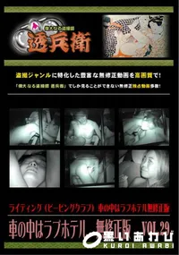 【車の中はラブホテル 無修正版 Vol.29 】の一覧画像