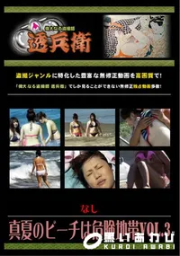 【真夏のビーチは危険地帯Vol.3 】の一覧画像