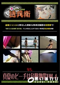 【真夏のビーチは危険地帯Vol.4 】の一覧画像