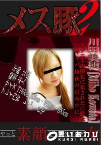 【オナニー盗撮犯に犯された自慰女～キャバ嬢夜の営み中に～ 】の一覧画像