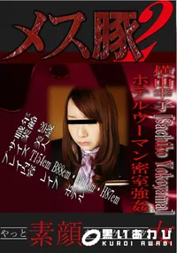 【ホテルウーマン密室強姦　】の一覧画像