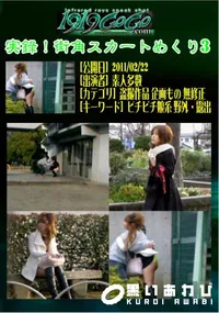 【実録!街角スカートめくり3 】の一覧画像