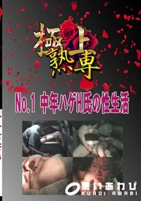 【No.1中年ハゲH氏の性生活 　】の一覧画像