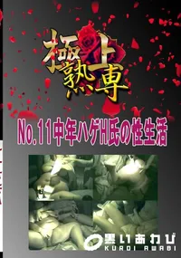 【No.11中年ハゲH氏の性生活 　】の一覧画像