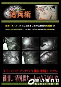 【蔵出し!!赤外線カーセックスVol.12 】の一覧画像