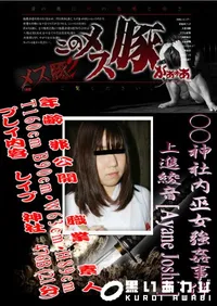 【○○神社内巫女強姦事件 】の一覧画像