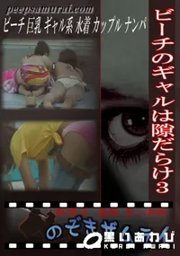 【ビーチのギャルは隙だらけ3 】の一覧画像