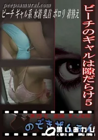 【ビーチのギャルは隙だらけ5 】の一覧画像