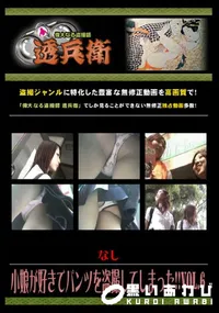 【小娘が好きでパンツを盗撮してしまった!!Vol.6 】の一覧画像