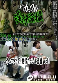 【やってきたぞ!発情カップル盗撮 vol.1 　】の一覧画像
