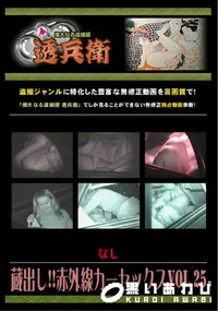 【蔵出し!!赤外線カーセックスVol.25 】の一覧画像