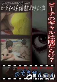 【ビーチのギャルは隙だらけ7 】の一覧画像