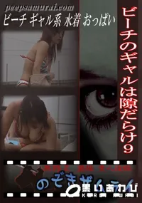 【ビーチのギャルは隙だらけ9 】の一覧画像