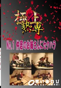 【No.1 仲居のお姉さんにセクハラ 　】の一覧画像