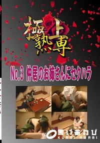 【No.3 仲居のお姉さんにセクハラ 　】の一覧画像