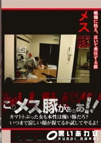【このメス豚がぁぁあ!前島エリカ 】の一覧画像