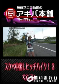 【スケベ中出しヒッチハイク! 3 】の一覧画像