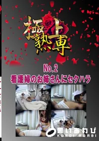 【No.2 看護婦のお姉さんにセクハラ 　】の一覧画像