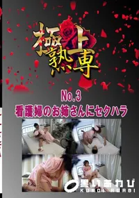 【No.3 看護婦のお姉さんにセクハラ 　】の一覧画像