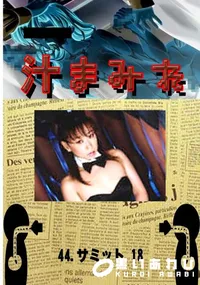 【44.　サミット 18 　】の一覧画像