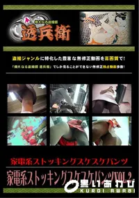 【家電系ストッキングスケスケパンツVol.2 】の一覧画像