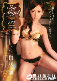 【Sky Angel スカイエンジェル 137 】の一覧画像
