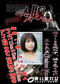 【降りしきる雨の中、帰り急ぐ女に一声 】の一覧画像