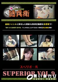 【SUPERIOR VOL.9 】の一覧画像
