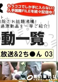 【ニ●ニ●生放送&2ち●ん 03 】の一覧画像