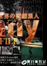 【世界の変態素人過激FILE 】の一覧画像