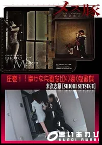 【メス豚 圧巻!!幸せな夫妻を切り裂く鬼畜共】の一覧画像