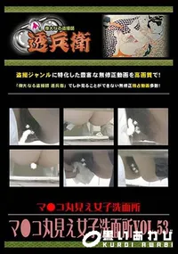 【マ●コ丸見え女子洗面所 Vol.53 】の一覧画像