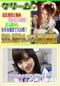 【スカイエンジェル Vol.132 星野あいか 後編 】の一覧画像