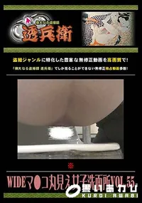 【WIDEマ●コ丸見え女子洗面所 Vol.55 】の一覧画像
