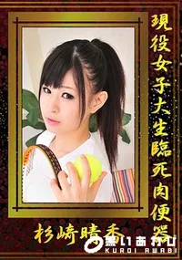 【現役女子大生臨死肉便器 [杉崎晴香]】の一覧画像