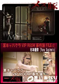 【某キャバクラ VIP ROOM 事件簿 FILEⅡ】の一覧画像
