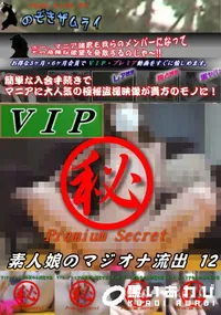 【素人娘のマジオナ流出 12】の一覧画像